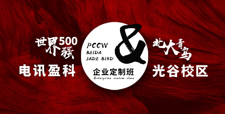 北大青鸟企业500强定制班